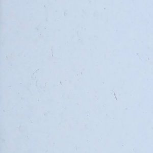 Meet your Posher, Steve